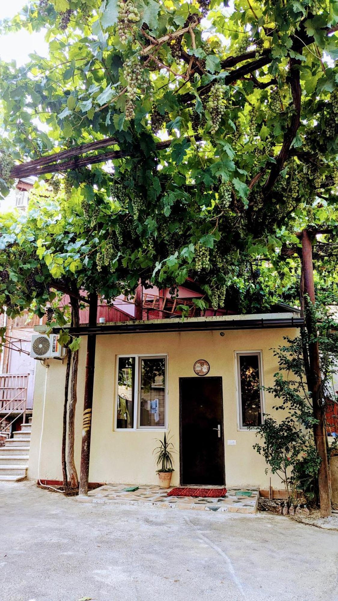 Green Corner Tbilisi Bilik gambar